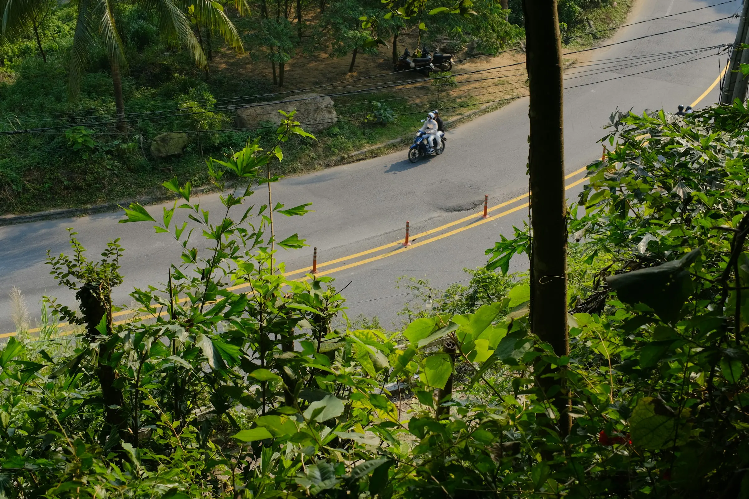 A motorbike rounding a bend on a winding hillside road in Da Nang, Vietnam, seen from above through green leaves.